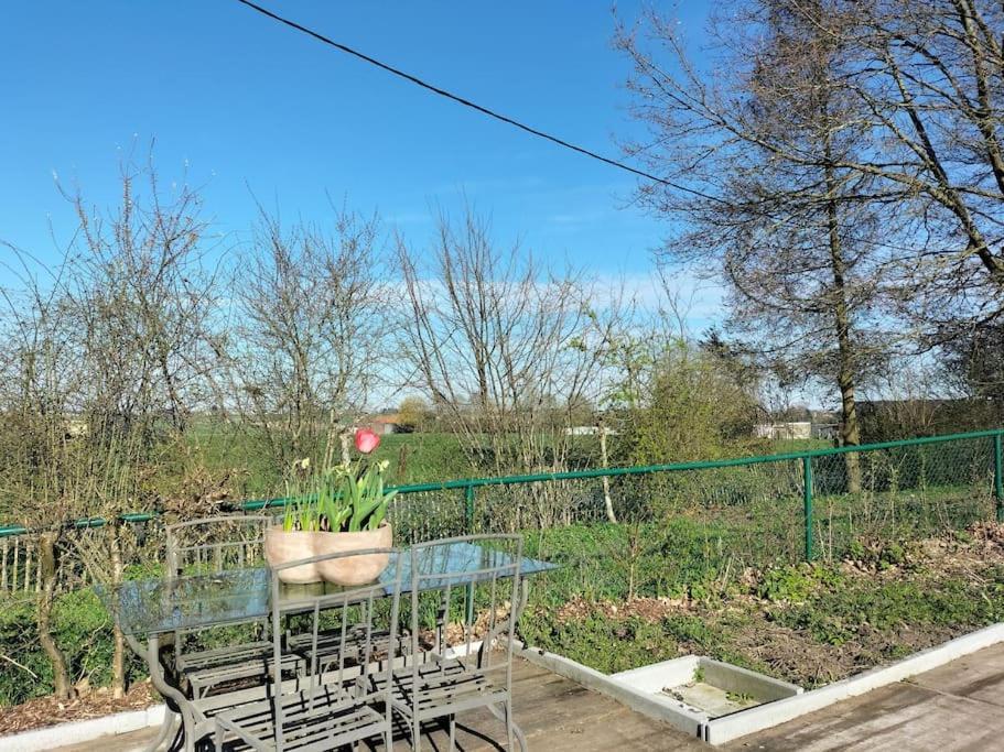 Gite Rural La Ferme Du Semeur-Zaaiershof Lessines Esterno foto