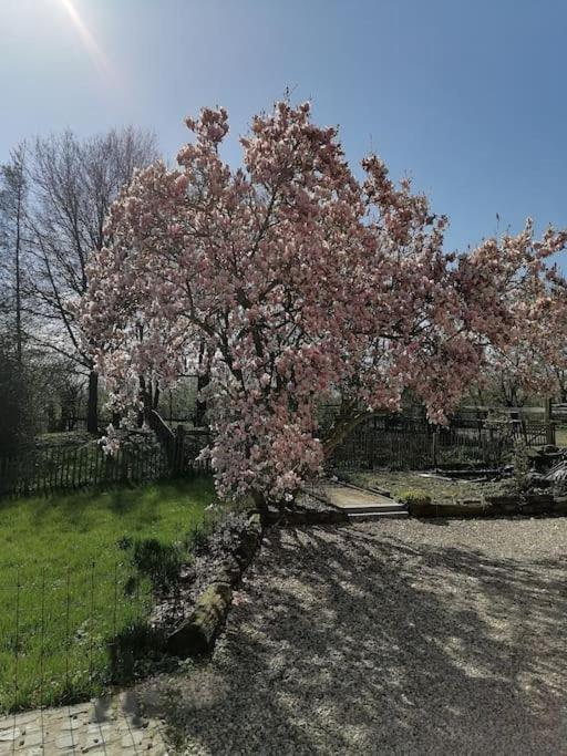 Gite Rural La Ferme Du Semeur-Zaaiershof Lessines Esterno foto