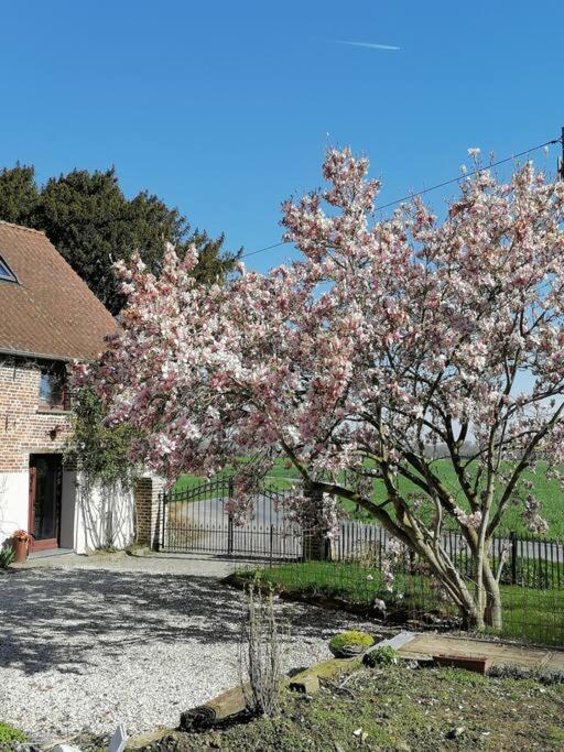 Gite Rural La Ferme Du Semeur-Zaaiershof Lessines Esterno foto